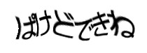 認証画像