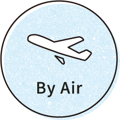 icon-airplane_en.png